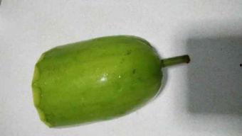 浦瓜的功效 怎么吃,巧食浦瓜，健康生活新篇章