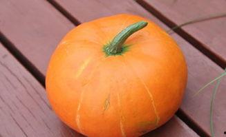 浦瓜的功效 怎么吃,巧食浦瓜，健康生活新篇章