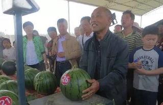 911 吃瓜群众,吃瓜群众的视角解读