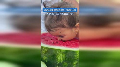 吃瓜 萌,揭秘娱乐圈的甜蜜与苦涩