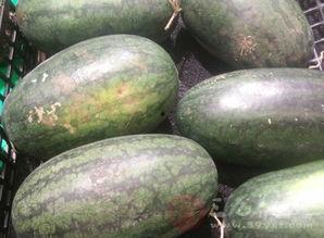 神秘作者吃瓜,揭秘娱乐圈背后的秘密与真相