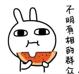 吃瓜仪式搞笑故事,一场别开生面的吃瓜仪式搞笑大揭秘