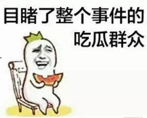 淡泊吃瓜群众,吃瓜群众视角下的社会百态