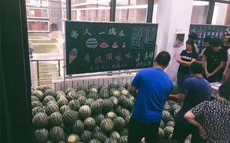 学校吃瓜教室,揭秘吃瓜教室的趣味日常