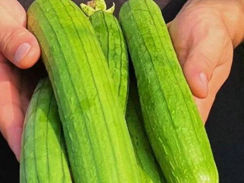 夏天吃三瓜是哪三瓜,西瓜、黄瓜、苦瓜的清凉之旅