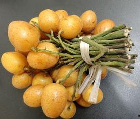 孕妇吃黄皮瓜,黄皮瓜的营养益处与食用指南