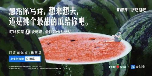 身边的吃瓜文案,一网打尽娱乐圈八卦风云