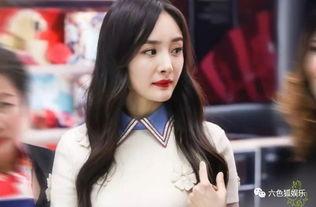 吃瓜群众明星杨幂