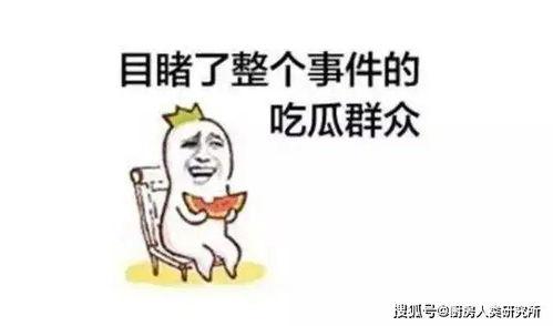 你们都在那吃瓜,揭秘娱乐圈那些事儿