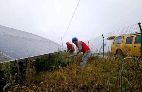 吃瓜小哥绥宁,揭秘娱乐圈幕后故事