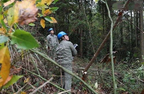 吃瓜小哥绥宁,揭秘娱乐圈幕后故事