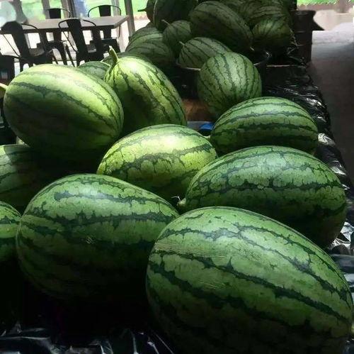 18吃瓜网,18吃瓜网带你领略明星幕后故事