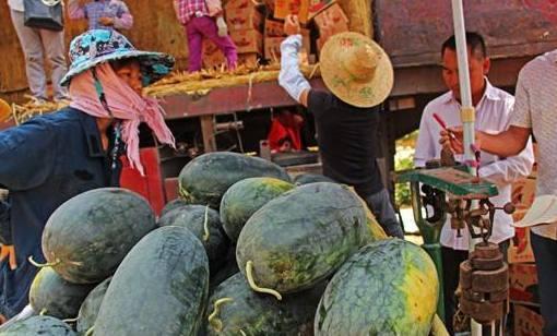 韩城吃瓜响子队,揭秘民间艺术魅力