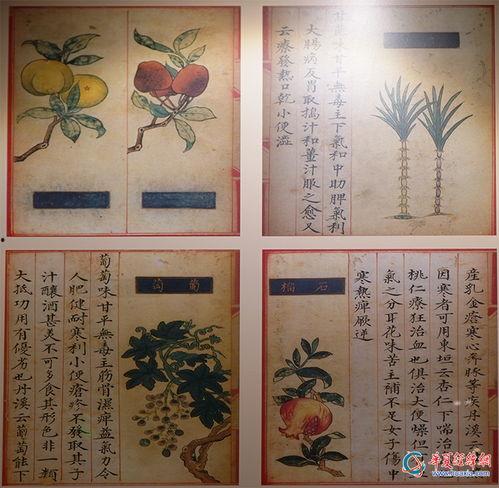 古代吃瓜宋朝,瓜果飘香，品味古韵