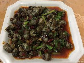 五一旅游吃瓜,吃瓜之旅欢乐多