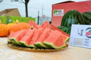 五一旅游吃瓜,吃瓜之旅欢乐多