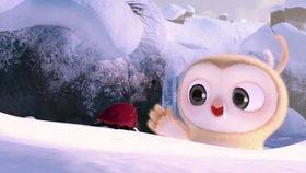 吃瓜挑战搞笑视频,带你领略欢乐无限