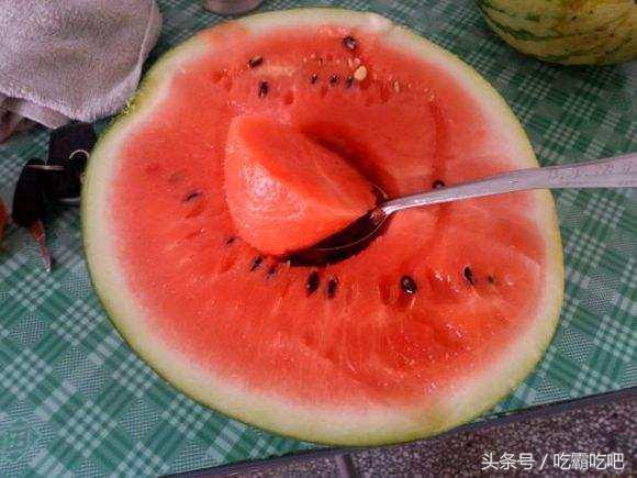 所有吃瓜网友,吃瓜网友热议焦点大盘点