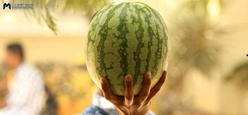 所有吃瓜网友,吃瓜网友热议焦点大盘点