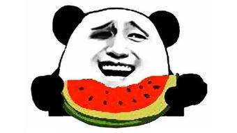 搞怪吃瓜,搞怪吃瓜大揭秘