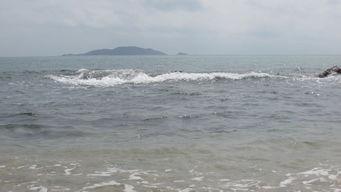 天涯海角吃瓜,吃瓜群众的热议焦点