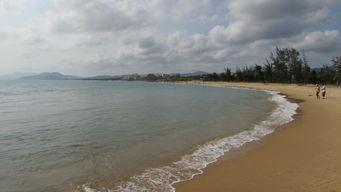 天涯海角吃瓜,吃瓜群众的热议焦点