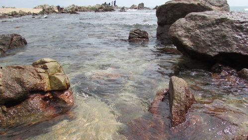 天涯海角吃瓜,吃瓜群众的热议焦点