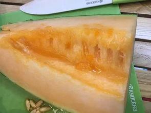 广西柳州吃瓜群,揭秘柳州街头美食风云录