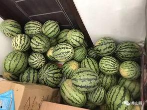 广西柳州吃瓜群,揭秘柳州街头美食风云录