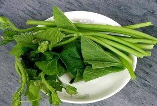 广西柳州吃瓜群,揭秘柳州街头美食风云录