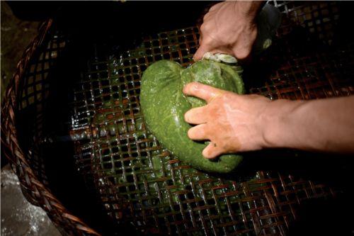 霸蛮吃瓜,揭秘娱乐圈幕后风云