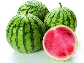 为什么叫啃瓜不叫吃瓜,揭秘“啃瓜”一词的独特魅力