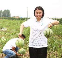 报团吃瓜,一起品尝生活中的酸甜苦辣