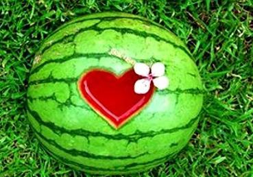 梦见瓜地吃瓜,瓜果飘香中的味蕾之旅