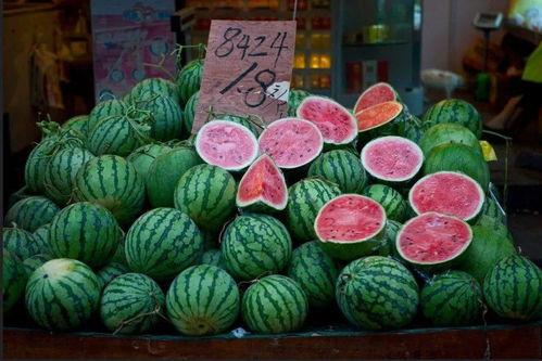 魔都吃瓜群,揭秘都市生活背后的八卦风云