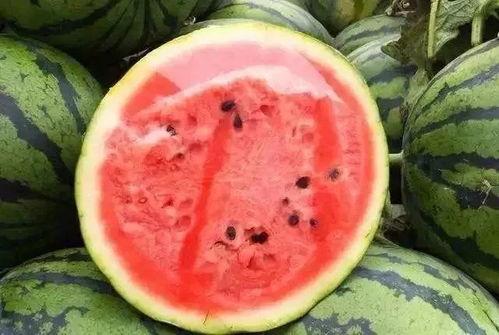 吃瓜还能叫啥,揭秘“吃瓜”之外的多彩生活