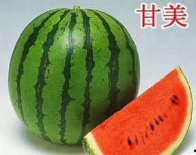 糖尿可以吃瓜没,瓜类美食的甜蜜选择